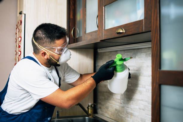 Best Emergency Pest Control  in Kingston, RI