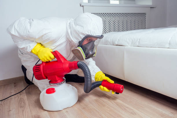 Best Pest Control Near Me  in Kingston, RI