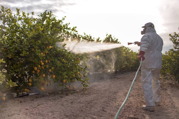 Best Pest Control Cost  in Kingston, RI