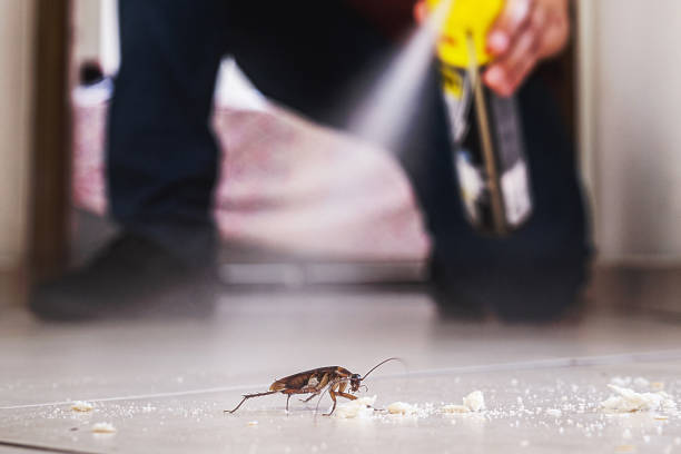 Best Insect Control  in Kingston, RI