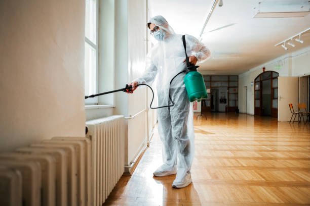Best Bed Bug Extermination  in Kingston, RI