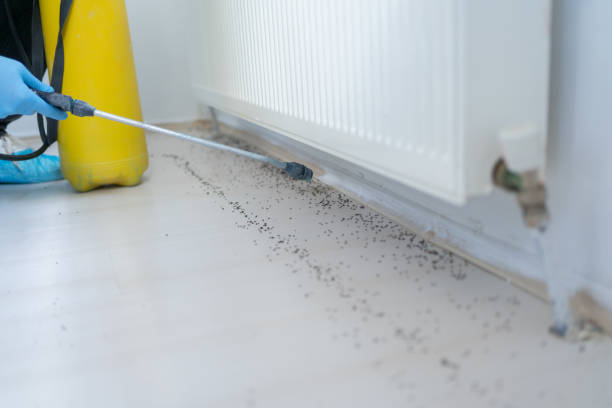 Pest Control Cost in Kingston, RI